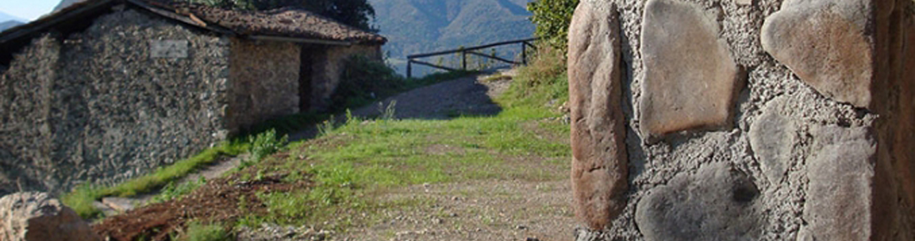 Carrara Kültür Taşı ile Duvarlarınızda Doğal ve Modern Dönüşüm