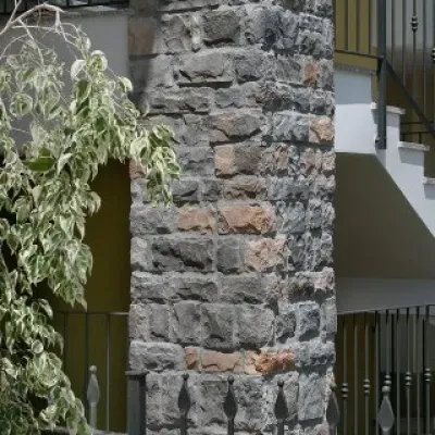 Modern şık ekonomik kültür taşı kaplama